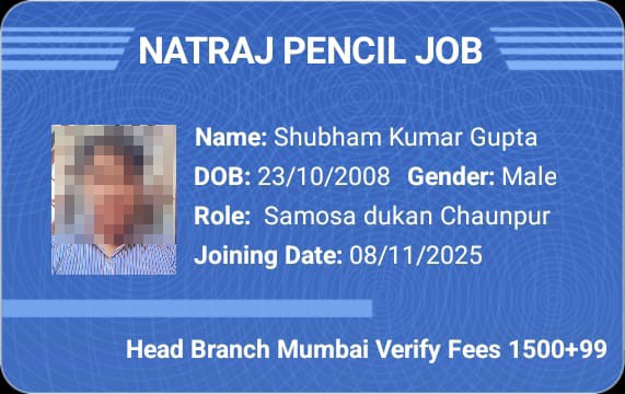 scam of nataraj pencil job on instagram  - image 8