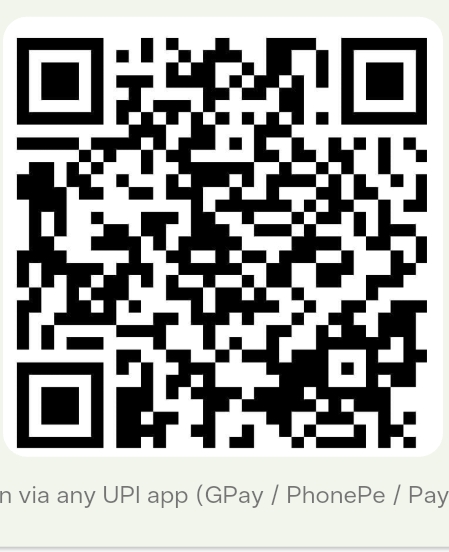its fraud finance company  - image 4