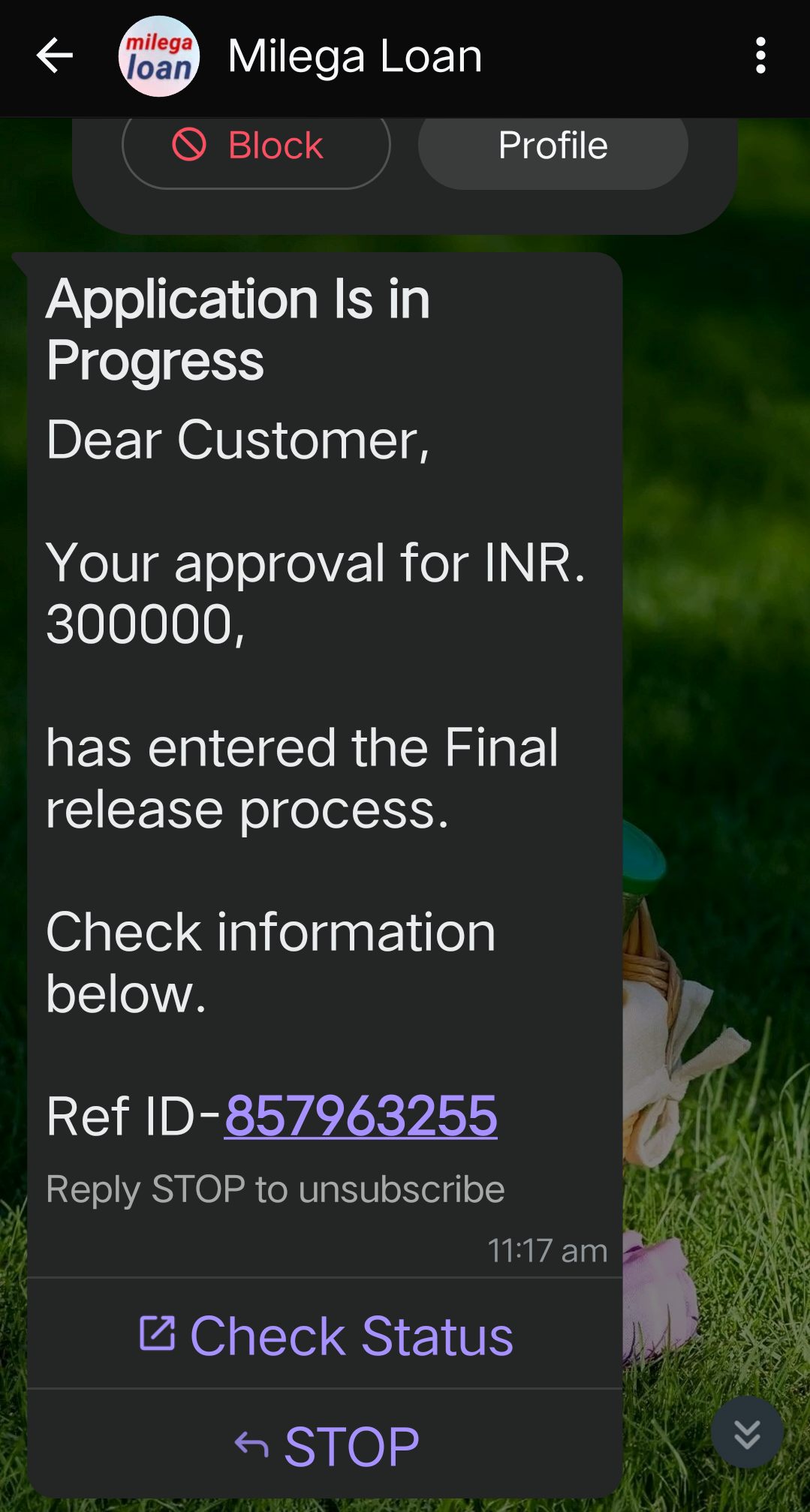 Loan Scam Alert: I have never applied for a loan!