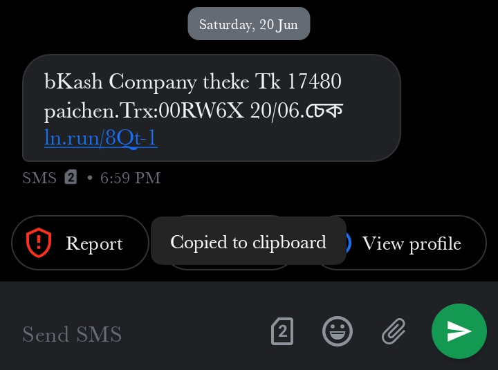 scammer message 