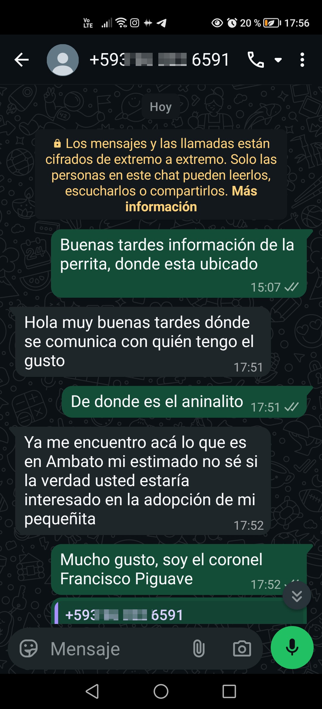 Pet scams