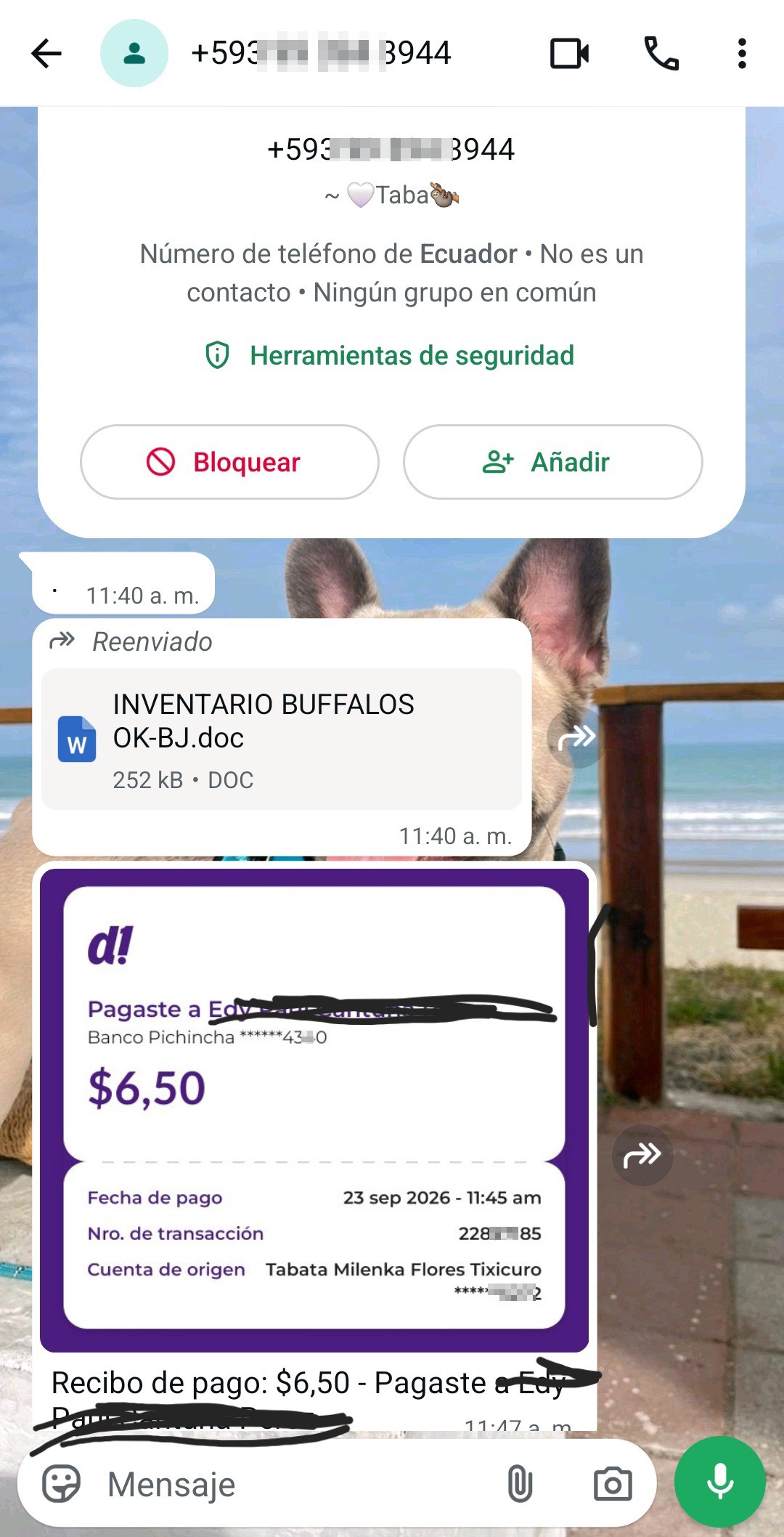 Scam verify number