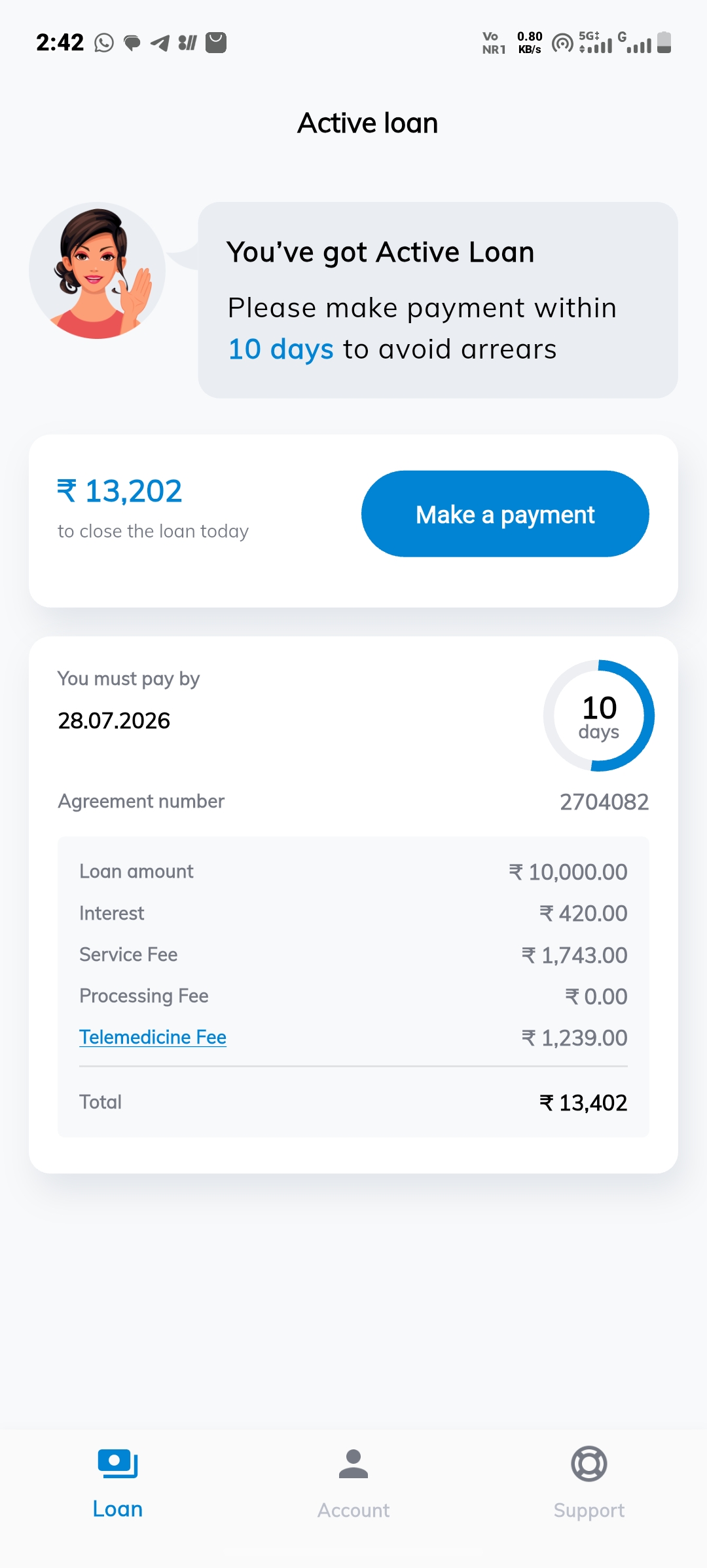 loan fraud