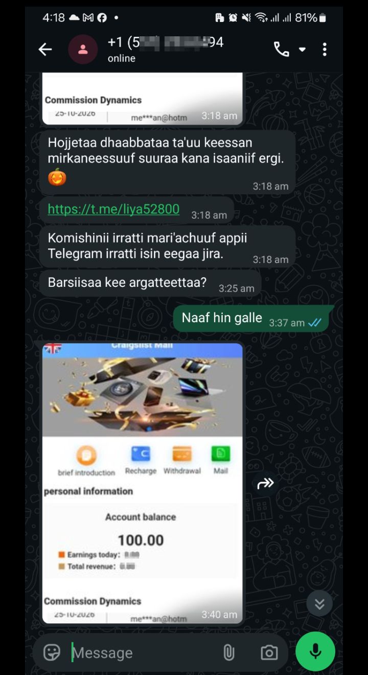 SCAMMER 
