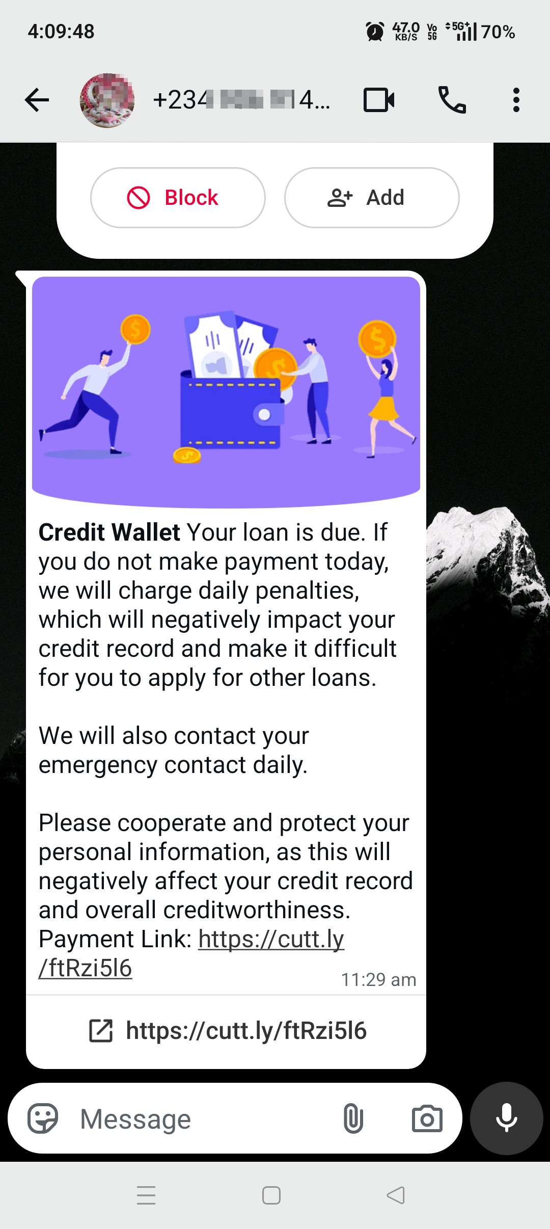 Fake loan scam  - image 2