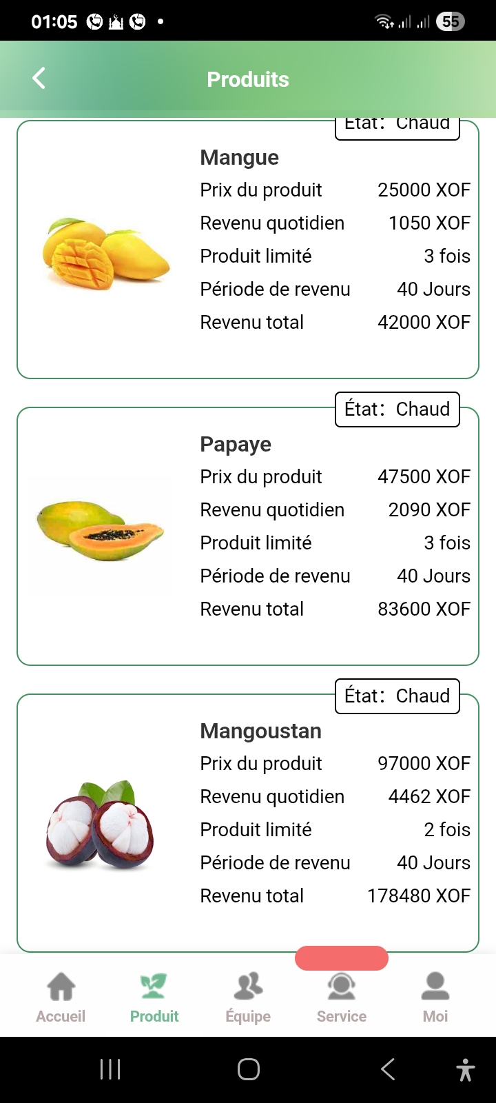 Scam, online agri-food company - image 6