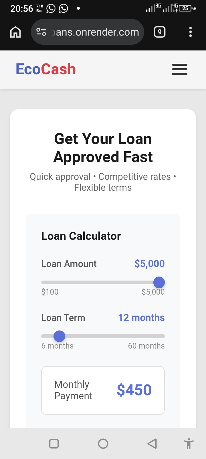 AVOID ONLINE LOAN APPLICATION 