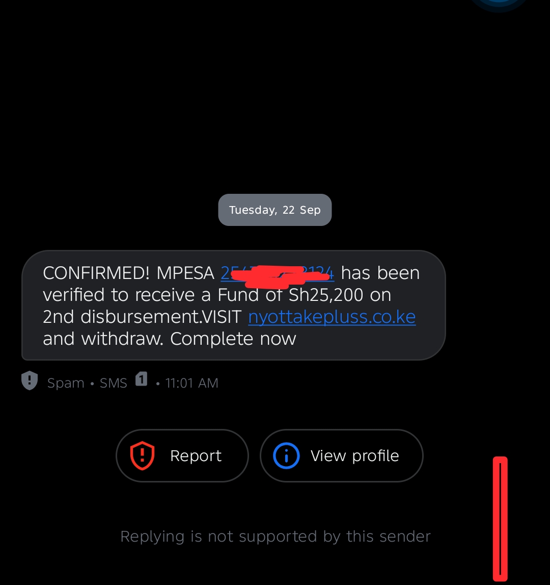Is this Scam about Nyota fund?