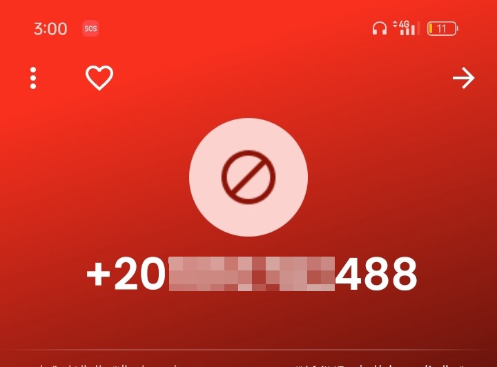 Scammer. Mentally ill person. - image 2