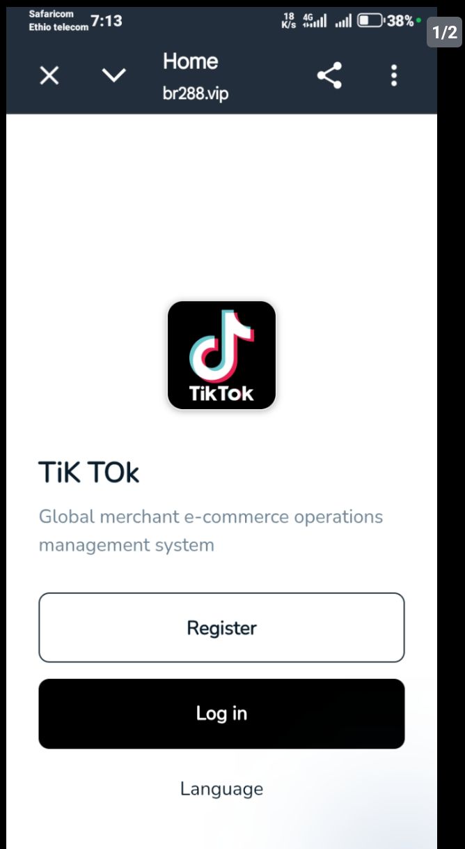 with the name of TikTok scam or spam