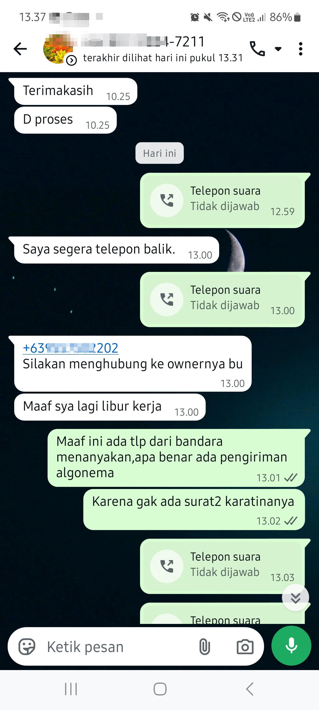 Beli algonema - image 2