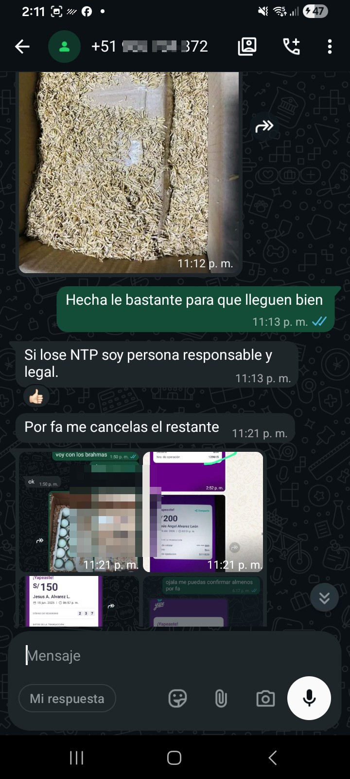 serial scammer