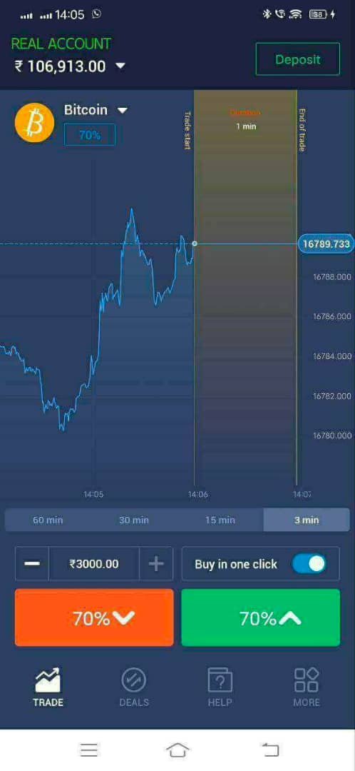 bitcoin frauds