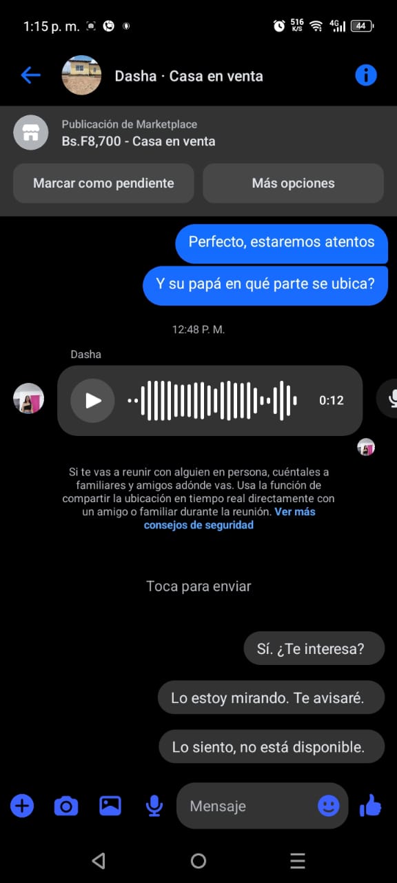House scammer - image 2