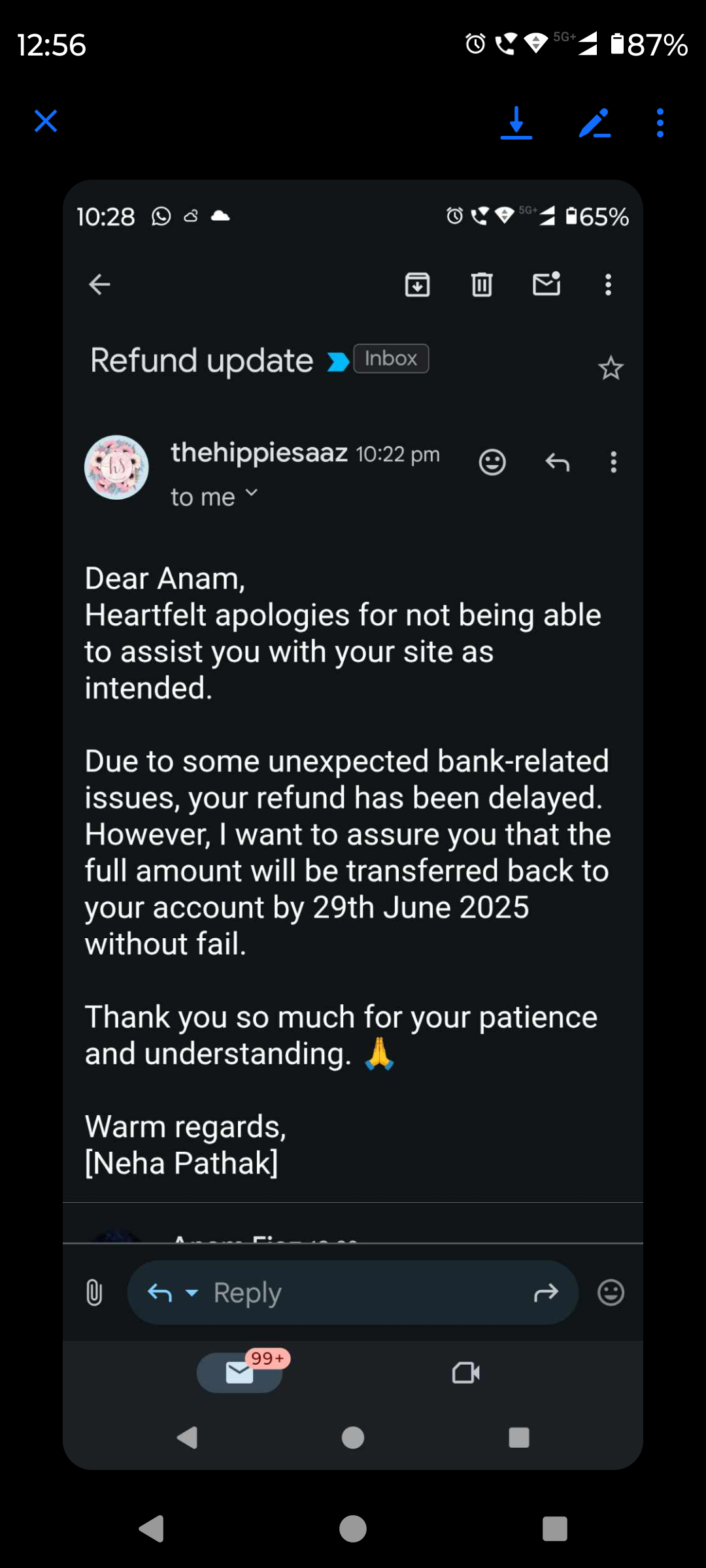 the hippysaaz scam