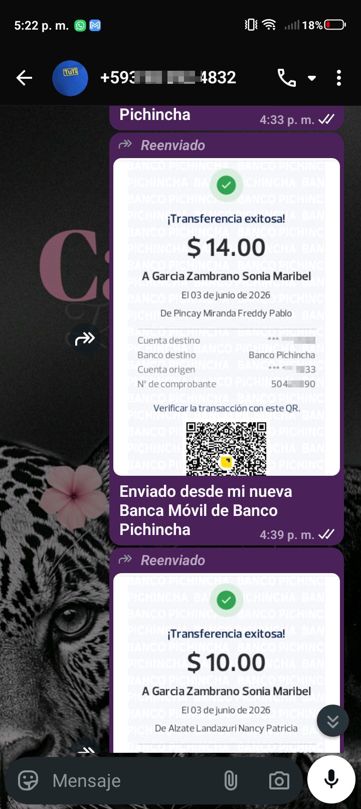 Scam in Ecuador with company Tuti - image 6